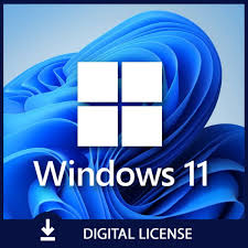 Windows 11 Pro Key Lifetime Validity Instant Email Delivery